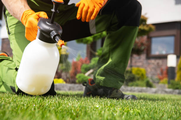 Wasp Removal Services in Mccullom Lake, IL
