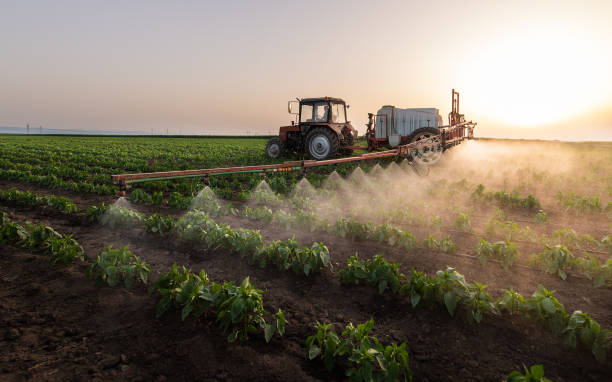 Best Mosquito Control Services  in Mccullom Lake, IL