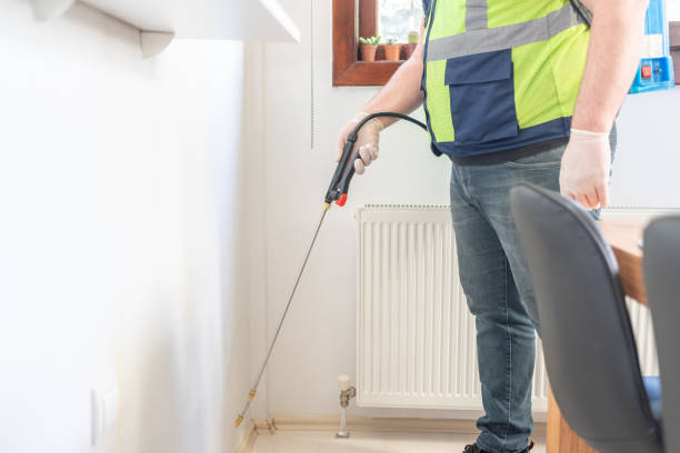 Best Termite Control Services  in Mccullom Lake, IL