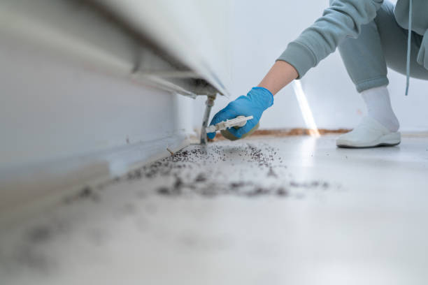 Best Affordable Pest Control Services  in Mccullom Lake, IL