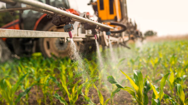 Best Pest Inspection Near Me  in Mccullom Lake, IL