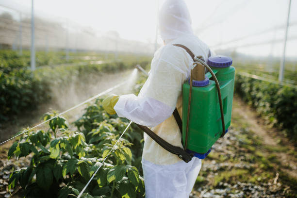 Best Local Pest Control Services  in Mccullom Lake, IL